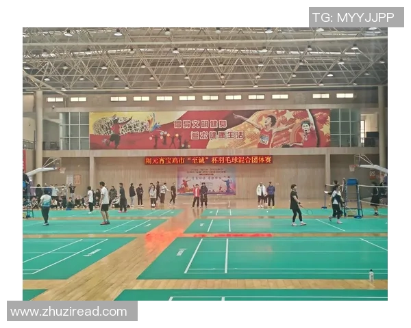武汉羽毛球队的节奏与魅力：聚焦羽毛球运动的未来发展与挑战