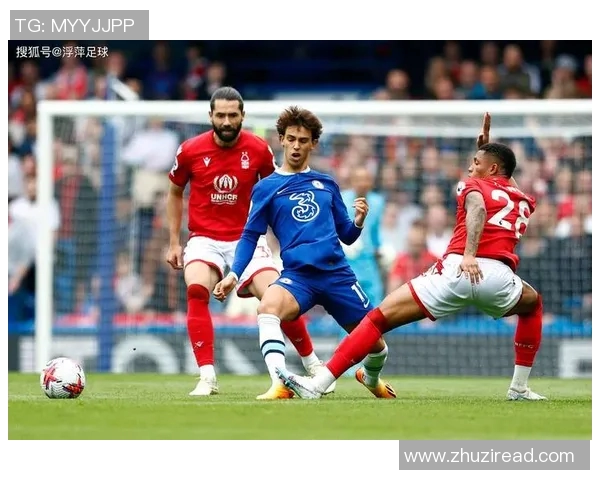 法国足球明星的辉煌历程与对世界足坛的深远影响