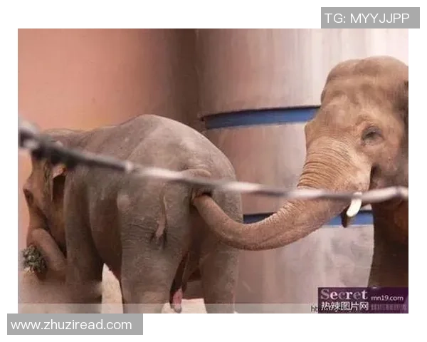 搞笑学足球：从零基础到踢球高手的欢乐旅程与趣事分享